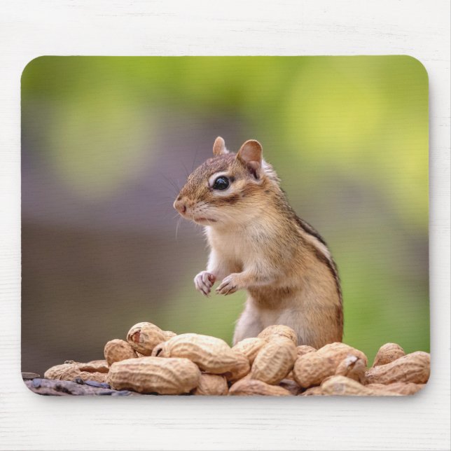Chipmunk mit Erdnüssen Mousepad (Vorne)