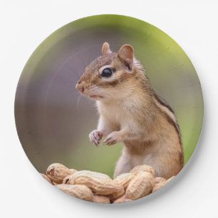 Chipmunk mit Erdnüssen Pappteller