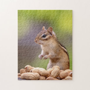 Chipmunk mit Erdnüssen Puzzle