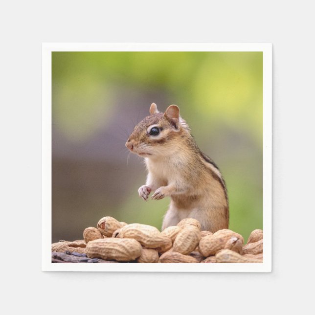 Chipmunk mit Erdnüssen Serviette (Vorderseite)