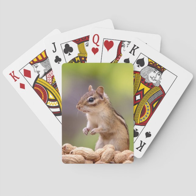 Chipmunk mit Erdnüssen Spielkarten (Rückseite)