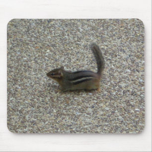 Chipmunk Mousepad