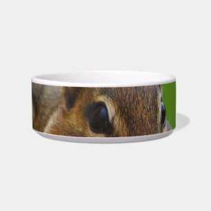Chipmunk Napf
