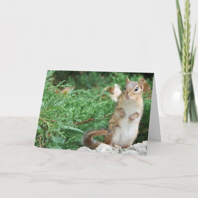Chipmunk Notecard Karte (Vorderseite)