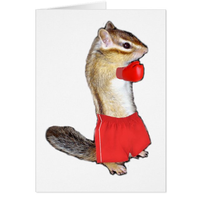 Chipmunk (photo) type-5 (Vorne)