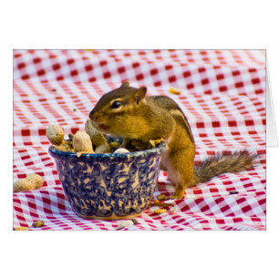Chipmunk Picnic