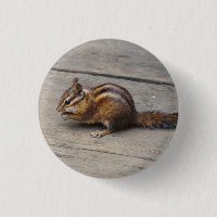 Chipmunk-Pinback-Taste