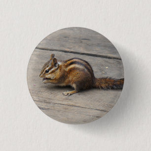 Chipmunk-Pinback-Taste Button