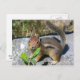 Chipmunk Postkarte (Vorne/Hinten)