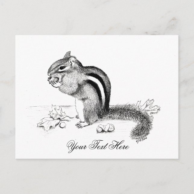 Chipmunk-Postkarte Postkarte (Vorderseite)