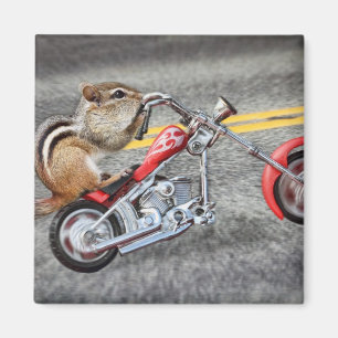 Chipmunk-Radfahrer, der ein Motorrad reitet Magnet