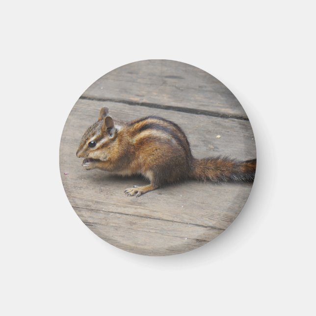 Chipmunk Round Magnet (Vorne)