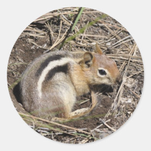 Chipmunk Runder Aufkleber