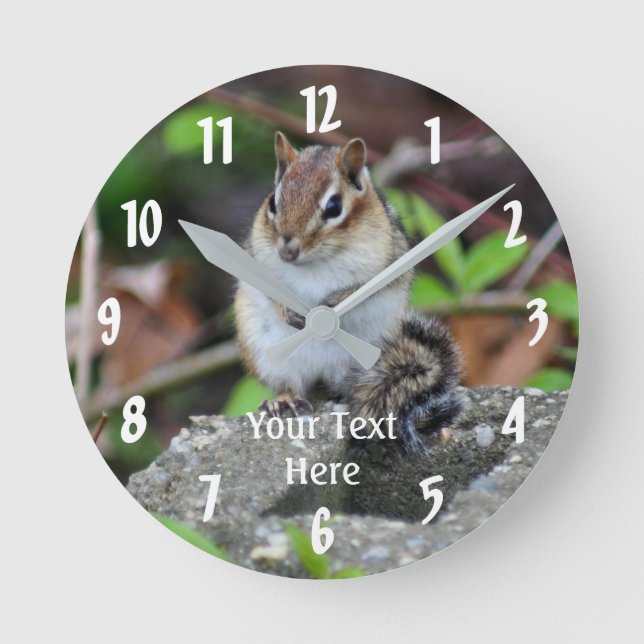 Chipmunk-Sitztier Runde Wanduhr (Vorderseite)