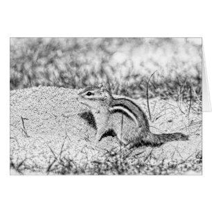 Chipmunk Sketch