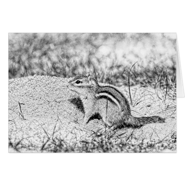 Chipmunk Sketch (Vorderseite (Horizontal))