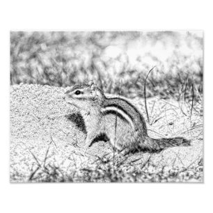 Chipmunk Sketch Fotodruck