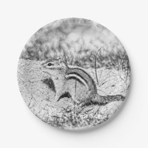 Chipmunk Sketch Pappteller
