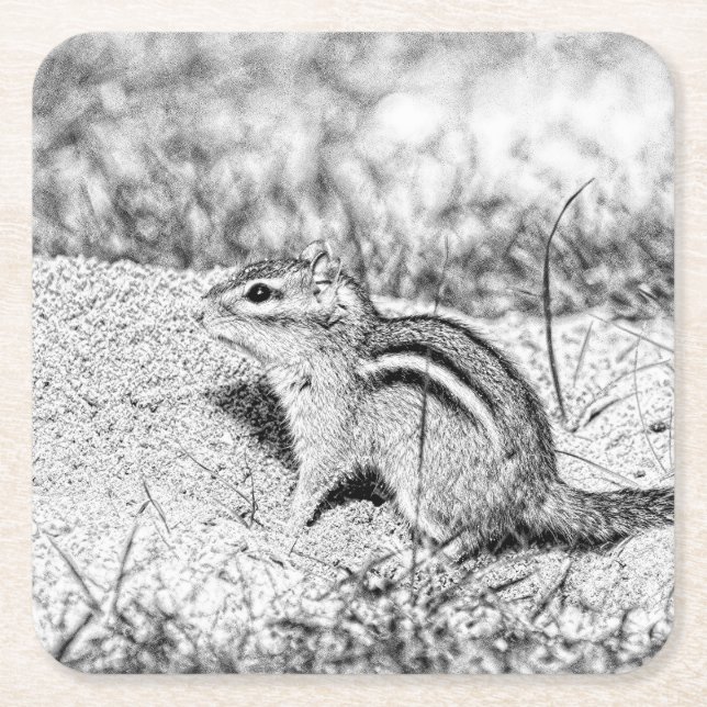 Chipmunk Sketch Rechteckiger Pappuntersetzer (Vorderseite)