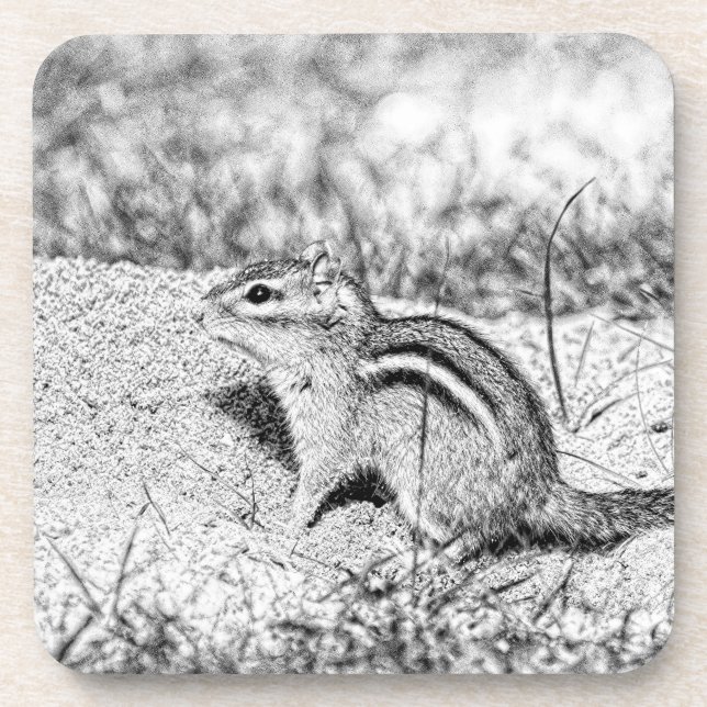 Chipmunk Sketch Untersetzer (Vorderseite)