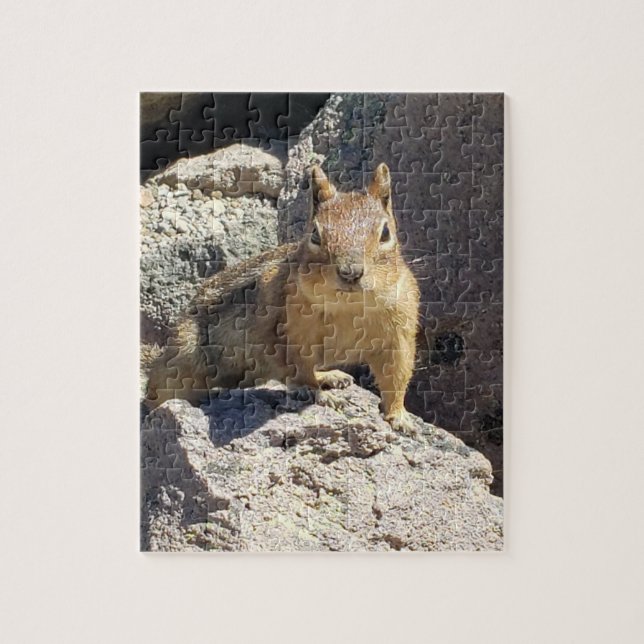 Chipmunk Stare Down Puzzle (Vertikal)