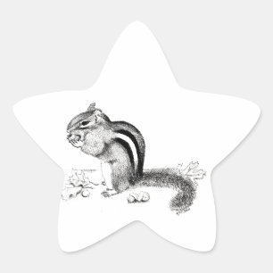Chipmunk Stern-Aufkleber