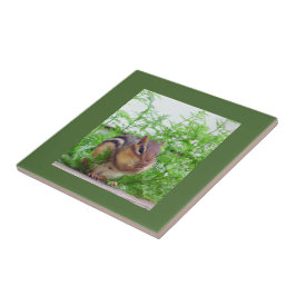 Chipmunk Tile Fliese