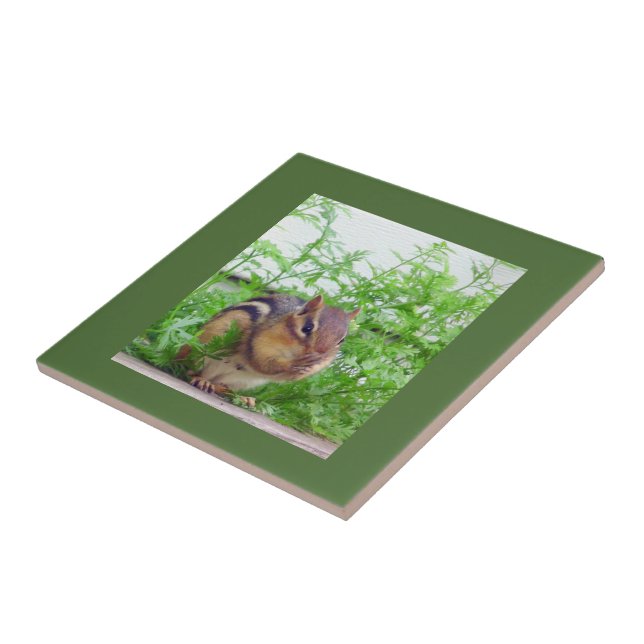 Chipmunk Tile Fliese (Seite)