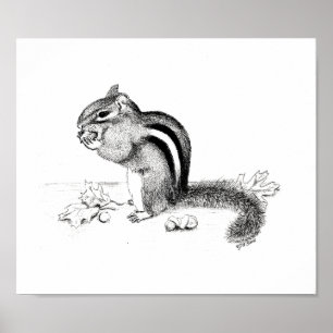 Chipmunk und Acorns Poster