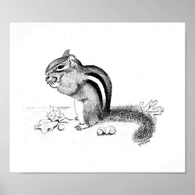 Chipmunk und Acorns Poster (Vorne)