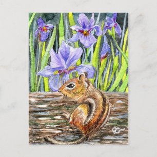 Chipmunk und Iris Postkarte