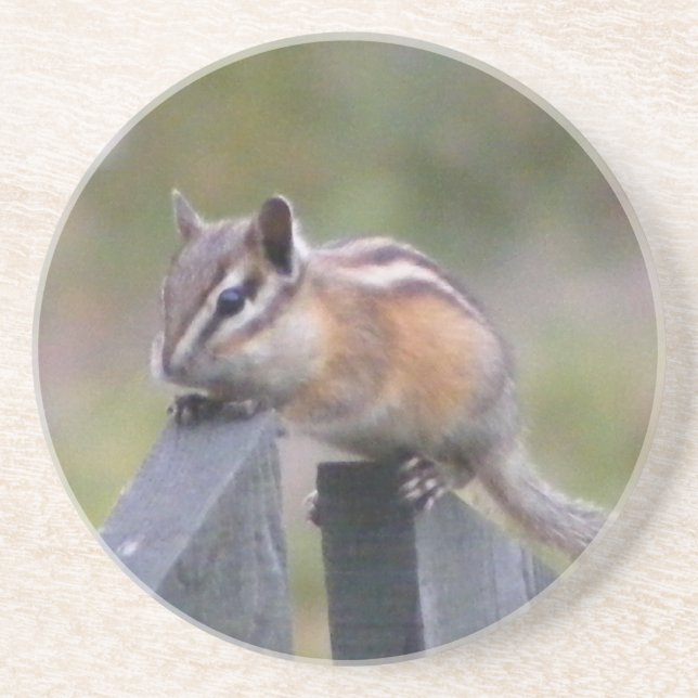 Chipmunk Untersetzer (Vorne)