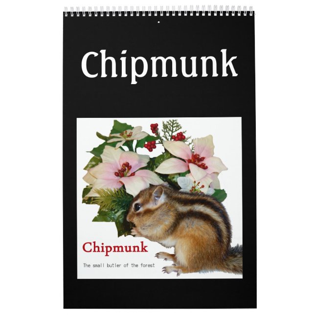 Chipmunk (USA) Kalender (Titelbild)