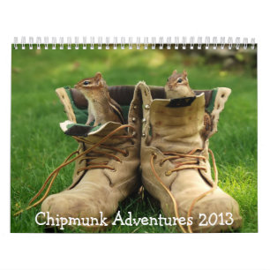 Chipmunk wagt Kalender 2013