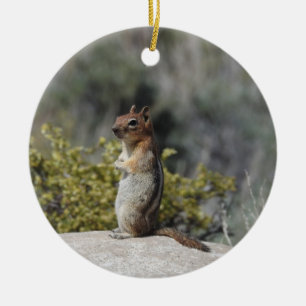 Chipmunk, Wildtiere, Keramik Ornament