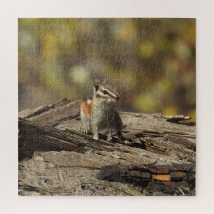 Chipmunk, Wildtiere, Puzzle