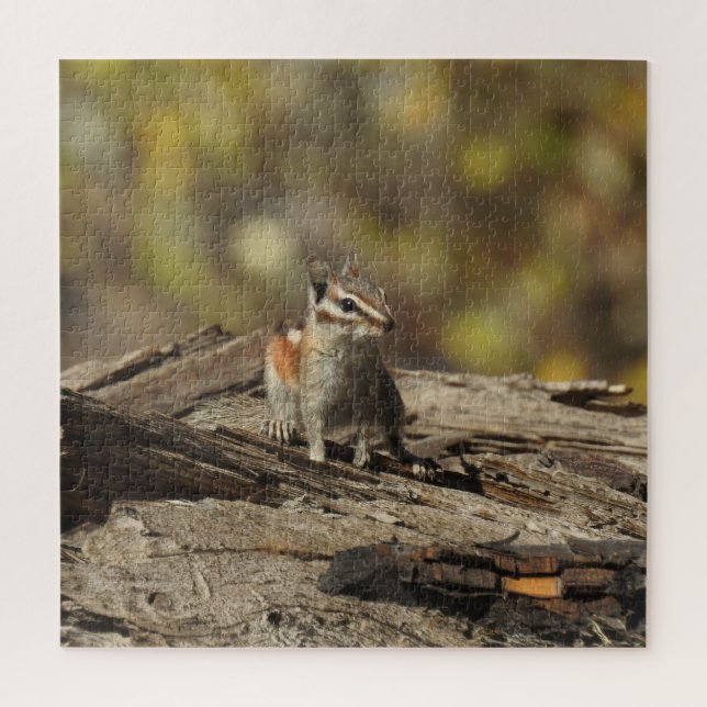 Chipmunk, Wildtiere, Puzzle (Vertikal)