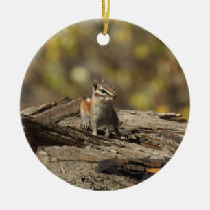 Chipmunk, Wildtiere, Zierpflanzen Keramik Ornament