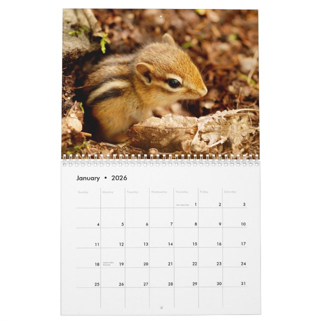 Chipmunks! Ein super niedlicher 2015 Wandkalender (Jan 2026)