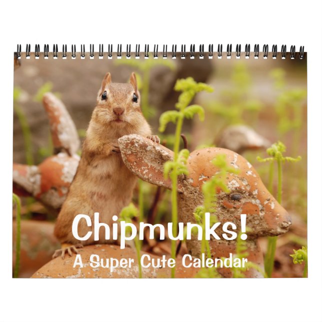 Chipmunks! Ein überaus Niedlicher Wall-Kalender Kalender (Titelbild)