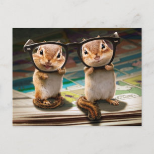 Chipmunks in Reading Glasses Einladungspostkarte