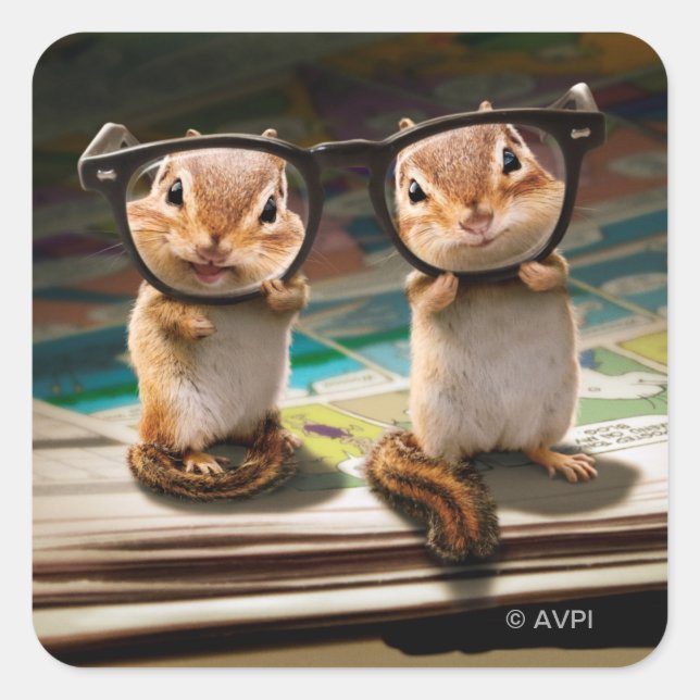 Chipmunks in Reading Glasses Quadratischer Aufkleber (Vorderseite)