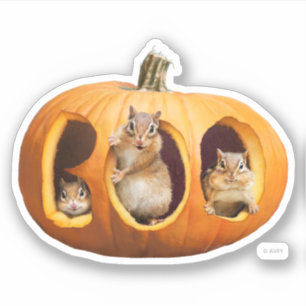 Chipmunks Inside Boo Jack-o-Lantern Aufkleber