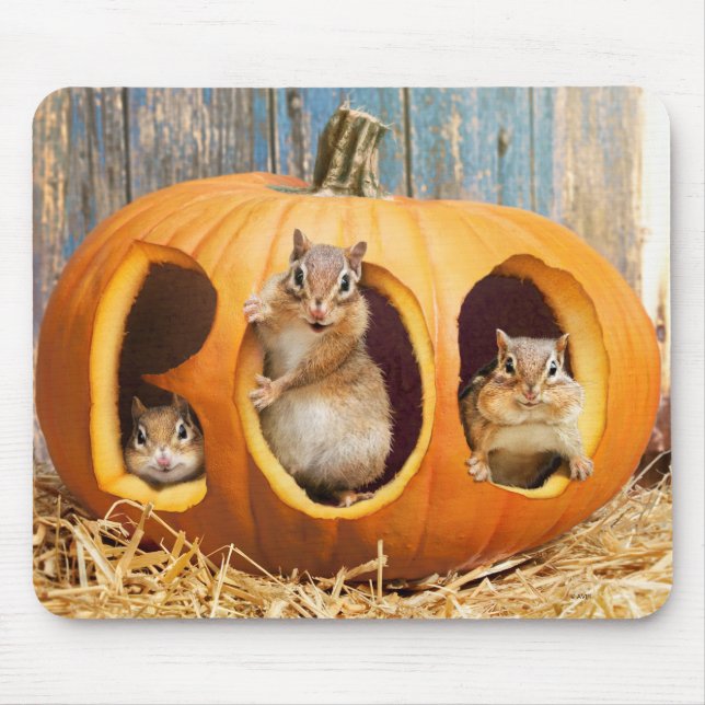 Chipmunks Inside Boo Jack-o-Lantern Mousepad (Vorne)