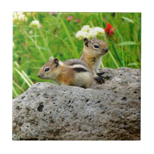 Chipmunks und Wildblumen Fliese