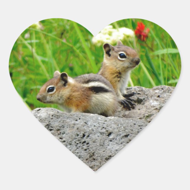 Chipmunks und Wildblumen Herz-Aufkleber (Vorderseite)