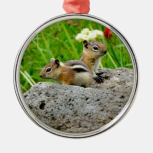 Chipmunks und Wildblumen Ornament Aus Metall