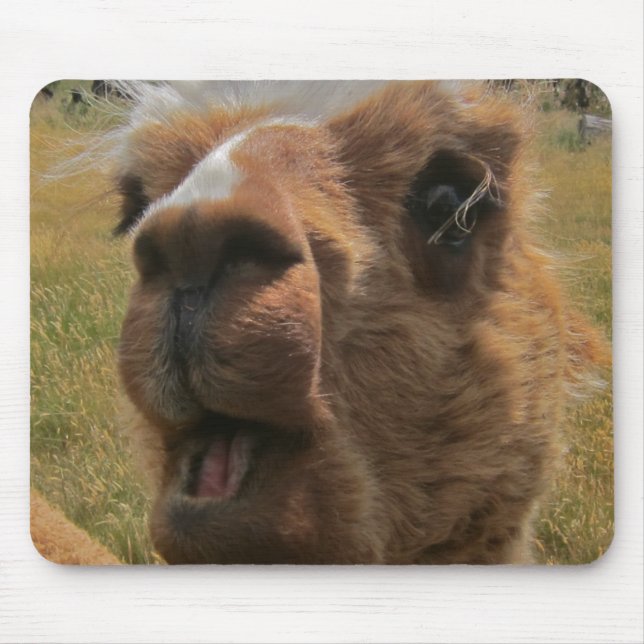 Chipper Alpaka Mousepad (Vorne)