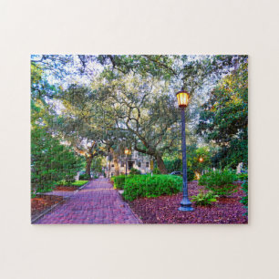 Chippewa Square Savannah Puzzle