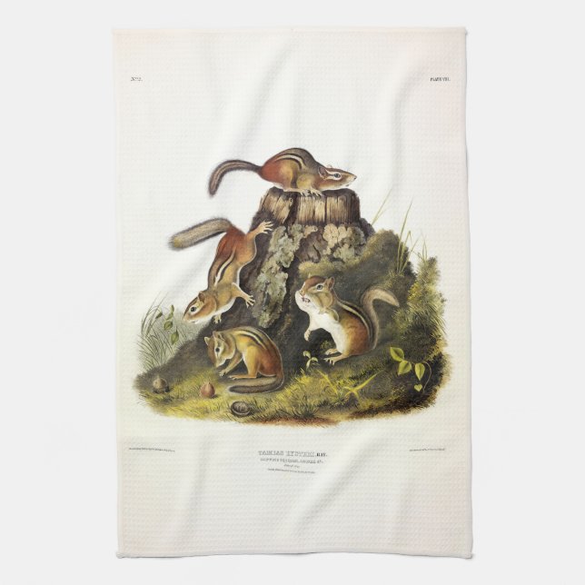 Chipping Squirrel ( Eastern Chipmunk ) von Audubon Geschirrtuch (Vertikal)
